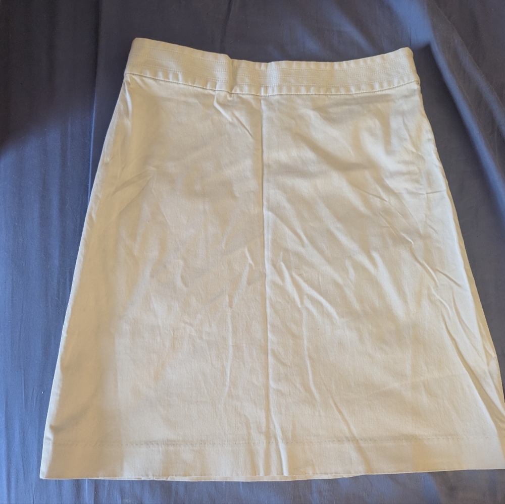 Banana Republic Minimalist Skirt